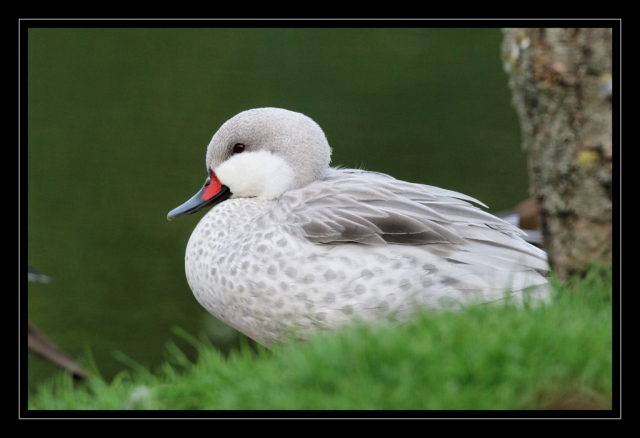14_20090412_parc_de_la_Haute_Touche_