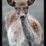 01_20090412_parc_de_la_Haute_Touche_