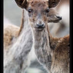 02_20090412_parc_de_la_Haute_Touche_