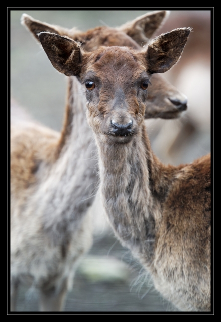 02_20090412_parc_de_la_Haute_Touche_