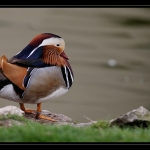 03_20090412_parc_de_la_Haute_Touche_
