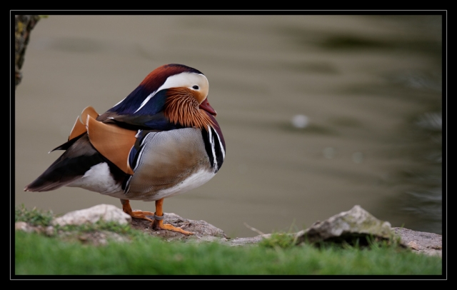 03_20090412_parc_de_la_Haute_Touche_