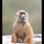 05_20090412_parc_de_la_Haute_Touche_