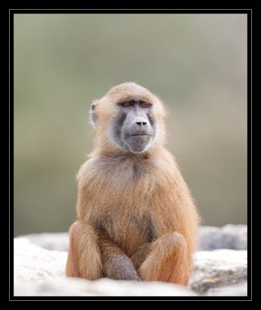 05_20090412_parc_de_la_Haute_Touche_