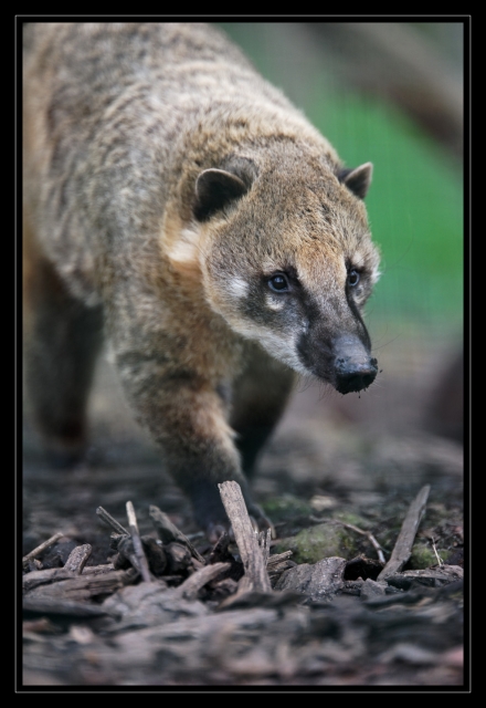 06_20090412_parc_de_la_Haute_Touche_