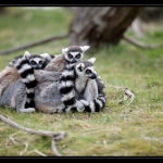 09_20090412_parc_de_la_Haute_Touche_