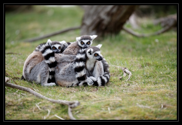 09_20090412_parc_de_la_Haute_Touche_