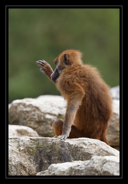10_20090412_parc_de_la_Haute_Touche_